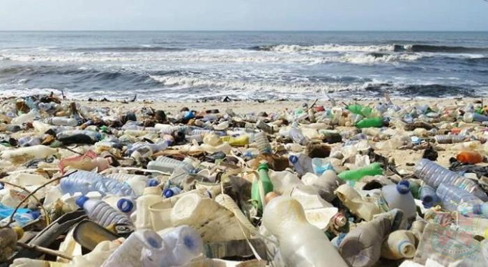 dampak sampah plastik bagi kehidupan laut
