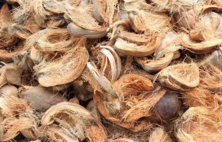 sabut kelapa sebagai bahan ekologis