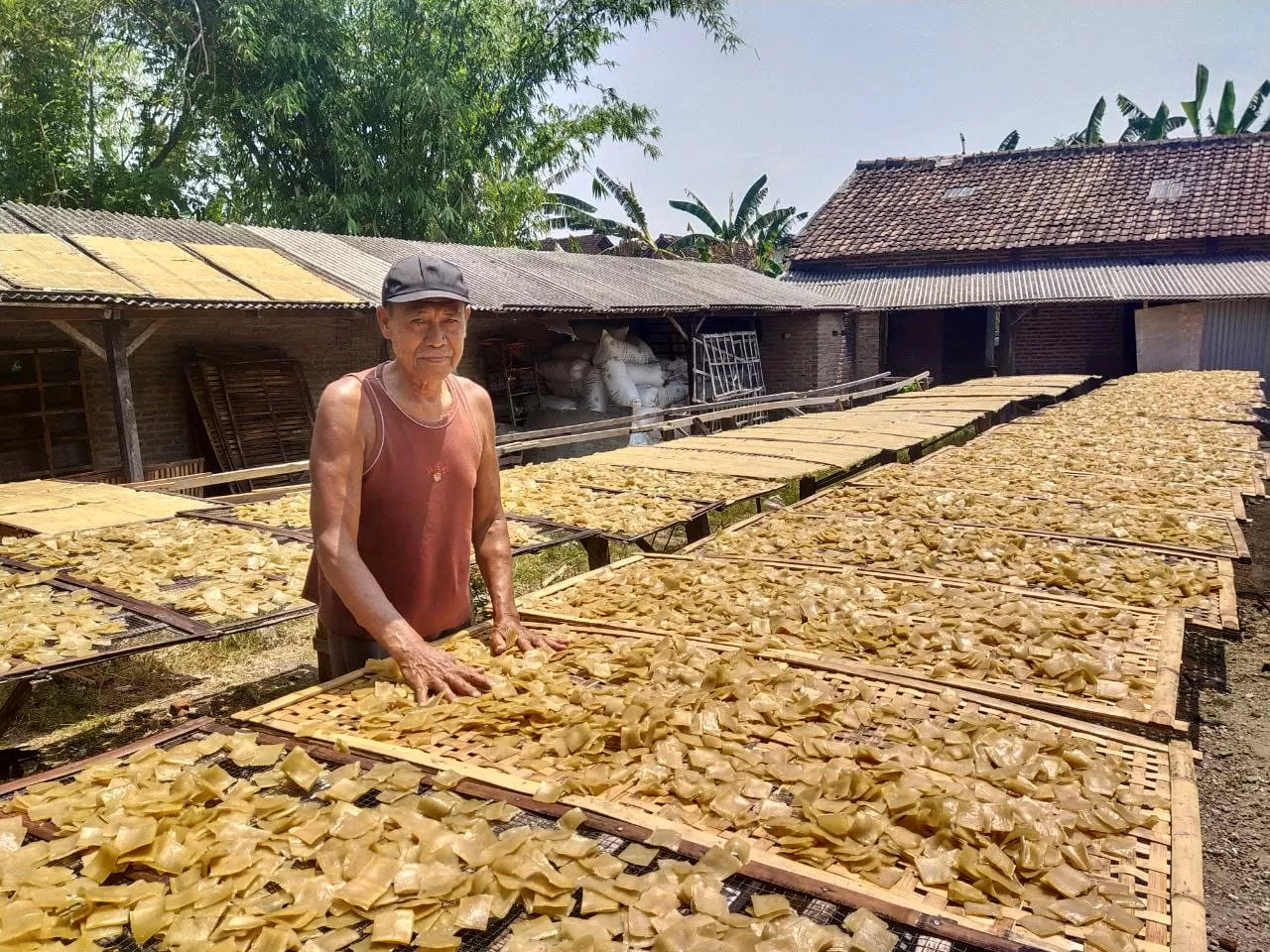Mesin Usaha Kerupuk Kulit Rambak Ini Bikin Usaha Berkembang!