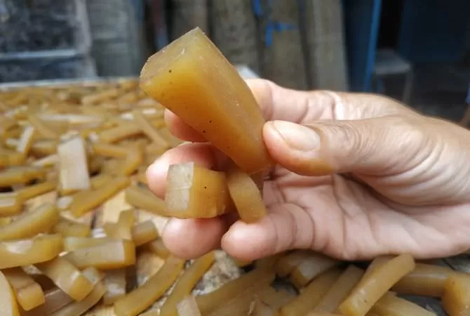 Solusi Mudah Potong Rambak, Cuma Pake Mesin Pemotong Aja!