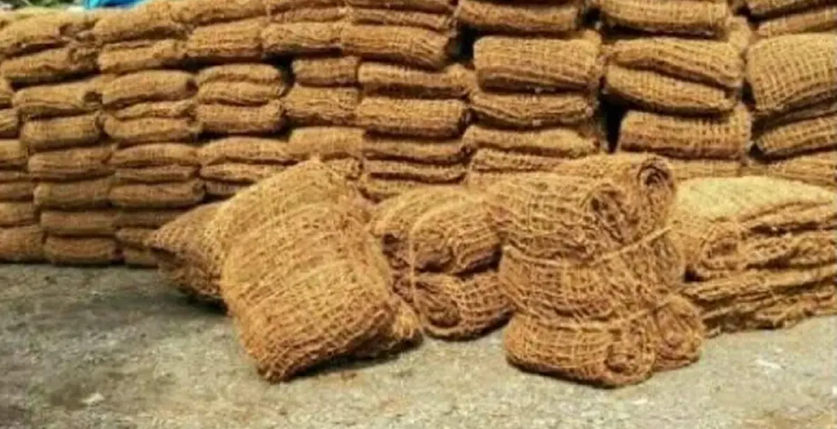 Solusi Cocomesh untuk Konservasi Tanah Berkelanjutan