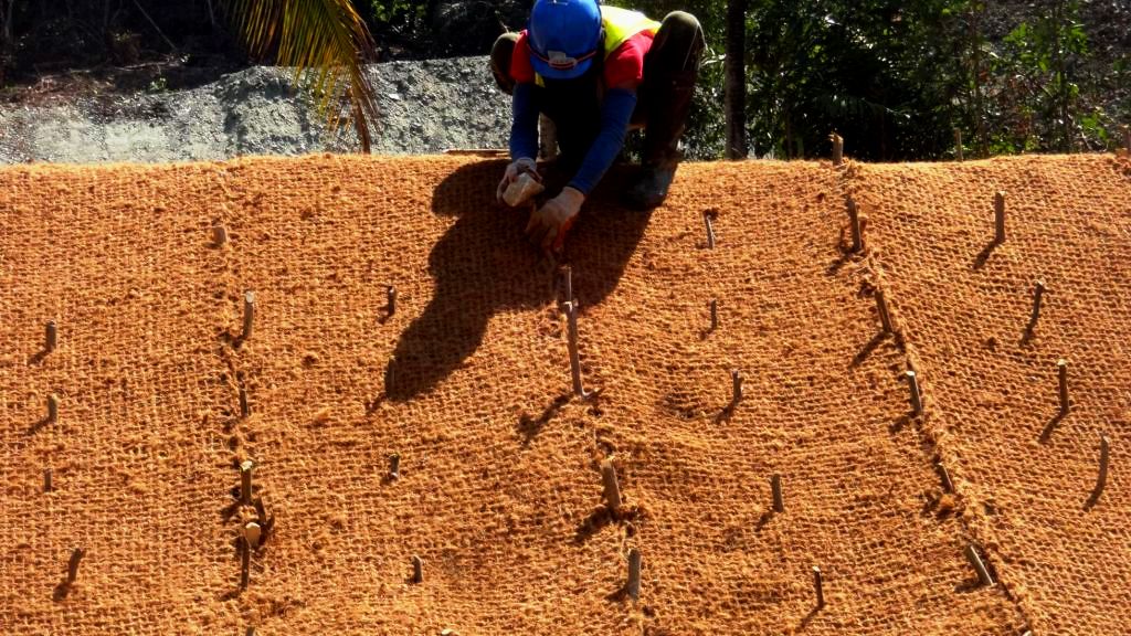 Strategi Bisnis Sabut Kelapa Bernilai Ekonomi Tinggi